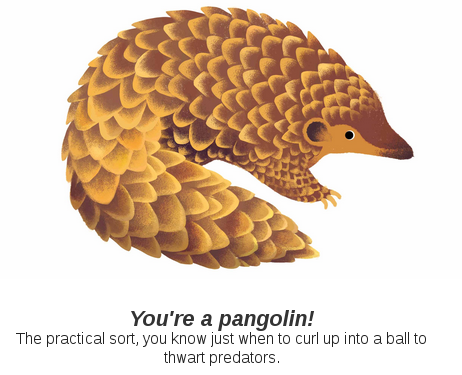 Pangolin picture -- google doodle
