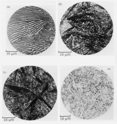 Microstructures in a eutectoid steel, transformed at 4 different temperatures.