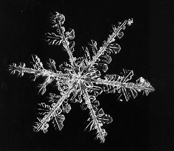 An ice crystal